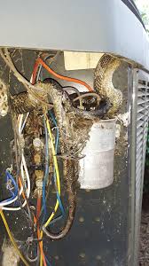 Ac compressor wont come on? So A Customer Wants To Know Why The Air Conditioner Wont Turn On Fried Snake Straight Off The Condenser Who Is First Hvac