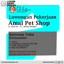 Bulgarian, chinese, czech, danish, dutch, estonian indeed, a few tests show that deepl translator offers better translations than google translate when it comes to dutch to english and vice versa. Lowongan Kerja Amal Pet Shop Posisi Loker Anak Medan Facebook