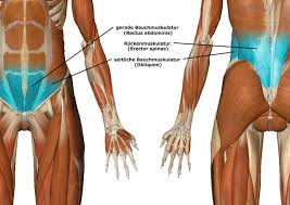 We did not find results for: Bauch Weg Die Effektivste Buro Ubung Fur Eine Straffe Bauchmuskulatur Der Spiegel