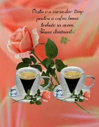 Imagini Buni Dimineata Si O Zi Frumoasa Pentru Tine Bunadimineataimagini Ro Good Morning Greetings Good Morning Morning Greeting