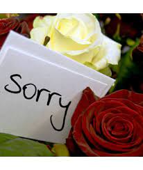 Unsure how to say sorry? I M Sorry Flowers The Rose Mart
