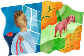 Denial may feel like an odd feeling to go through, especially when dealing with a long illness where death was expected. Things I Wish I Had Known When My Dog Died The New York Times