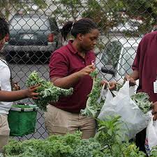 Learn all about it in our complete growing guide, along with tips for storage and but growing kale isn't something a lot of people consider doing. Missouri Students Grow Their Own Food At School News Columbiamissourian Com