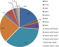Image result for Haplocoelum foliolosum
