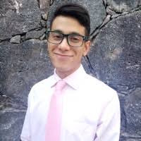 50+ "Luis Pizaña" profiles