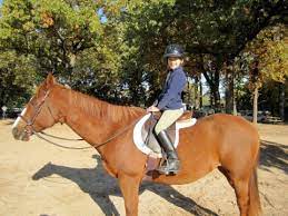 Maybe you would like to learn more about one of these? Horseback Riding In Broken Arrow Oklahoma Tulsa County
