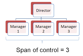 Span Of Control Gcse Business Tutor2u