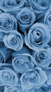 Image About Pink In Blue By Yagmur On We Heart It Flowersbackgroundiphone In 2020 Blue Roses Wallpaper Blue Wallpaper Iphone Blue Flower Wallpaper