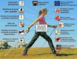 Résultat de recherche d'images pour 