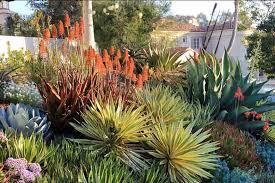 We're here to help bring your landscaping to the next level. A Superb Mediterranean Front Yard With Pretty Succulents