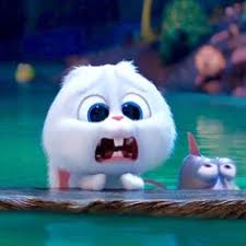 🎀 chocolala (เรียนหนักมากㅜㅜ) on twitter. 100 Snowball Ideas Snowball Cute Bunny Cartoon Snowball Rabbit