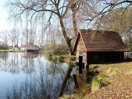 Moment De Quietude Au Lac D Uza Aquitaine Nelleaquitaine Focus On Sudouest Visitlandes Leslandes Igerslandes Igers Landes House Styles Aquitaine House