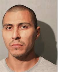 ᐅ Illinois Criminal Records 2009-2025