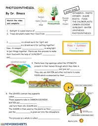 Pin On Science Resources