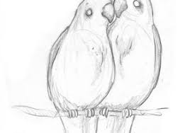 Jake spicer wants you to learn how to draw. Easy Sketching Ideas For Beginners At Paintingvalley Com Explore Collection Of Easy Sketching Ideas For Beginners