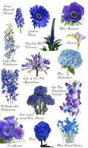 Flower Names By Color Blue Wedding Flowers Flower Names Blue Flowers