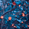 ✓ free for commercial use ✓ no download royalty free photos, videos and music. 3