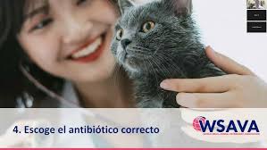 64. ES “Cuando nada es lo que parece” (Luis Bosch y Albert Lloret)