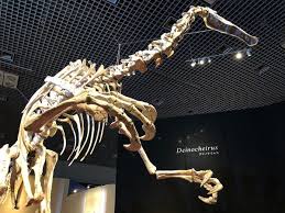 ついにデイノケイルスとカムイサウル... デイノケイルス&カムイサウルス！！ - グッドトリップ