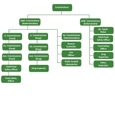 head quarter level organisational chart about fsda