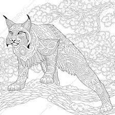 Pin On Wild Cats