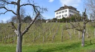 We did not find results for: Wanderung Zurich Enge Rieterpark Belvoirpark Burkliplatz Wegwandern Ch