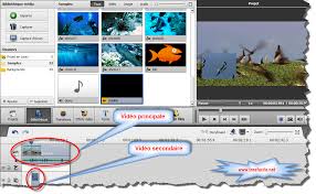 Manage your videos with avs video editor. 5 Superposition Videos Avec Avs Video Editor Cours Python Tres Facile