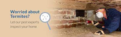 Serving allentown, lehigh valley, bethlehem pa, easton, and. Little S Pest Control Pest Control Allentown Pa