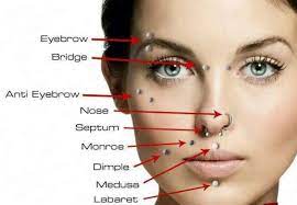 Face Piercing Stoke On Trent Cartilagepiercings Cartilage Piercings Chart Face Piercings Piercing Chart Facial Piercings
