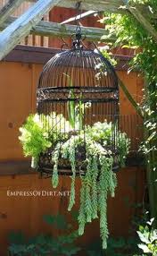 Dress® birdcage wall stickers decorative painting bedroomliving room tv wall decoration decor art mural. 300 Birdcage Decor Ideas Bird Cage Bird Cages Bird Cage Decor