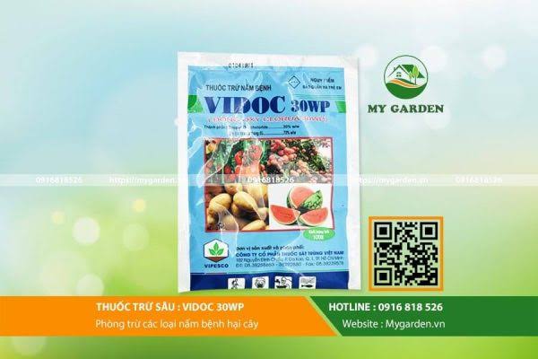 Vidoc 30WP