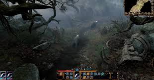 Requer um processador e sistema operacional de 64 bits so: Baldur S Gate 3 Adds Druids In Patch 4 Nature S Power Rpg Site
