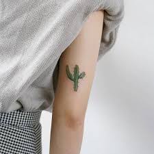 Cactus Tattoo Meaning 4 Feather Tattoos Tattoos For Women Flowers Tattoo Artists