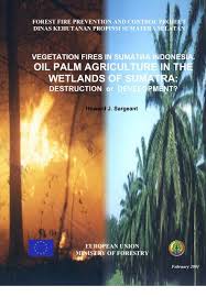 The malaysian administrative modernisation and management planning unit. Oil Palm Agriculture In The Wetlands Of Sumatra The Global Fire