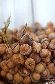 I picked lots of extra caps and. How To Paint Acorns Acorn Crafts Fall Halloween Crafts Easy Fall Crafts