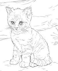 Cute Kitten Coloring Page Free Printable Coloring Pages Kitten Coloring Book Puppy Coloring Pages Cat Coloring Book
