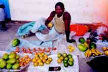 Image result for Grewia conocarpoides