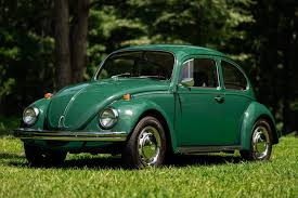 Image result for Delta Green 1968 Beetle