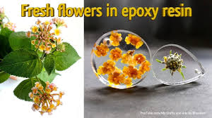 But, if the question how long do seeds last? is on your mind, this article will offer you some a helpful list. Fresh Flowers Don T Work With Epoxy Resin Epoxy Resin Experiment On Fresh Flowers Youtube