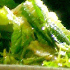 Best Salad Recipes Salad Ideas Lifestyle Food Recipe Lettuce Salad Recipes Iceberg Lettuce Salad Recipes Iceberg Lettuce Salad