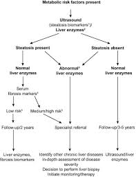 2015 kuala lumpur 10th april 2016. Easl Easd Easo Clinical Practice Guidelines For The Management Of Non Alcoholic Fatty Liver Disease Journal Of Hepatology
