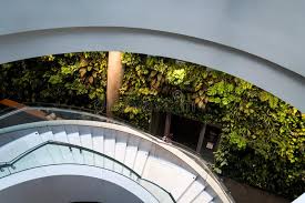I left that debate for last, assuming you may already be convinced and just need help with. 10 400 Vertical Garden Wall Photos Free Royalty Free Stock Photos From Dreamstime