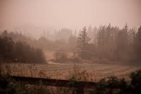 Ely Mist's sizzling secrets-her naked truth revealed for your gaze only