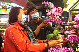 We did not find results for: Auspicious Plants Life News Top Stories The Straits Times