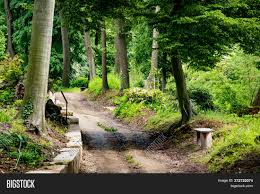 Free for commercial use no attribution required high quality images. Path Old Green Park Image Photo Free Trial Bigstock