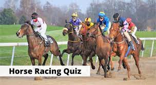 Buzzfeed staff the more wrong answers. 15 Horse Racing Quiz Trivia Questions To Test Your Knowledge