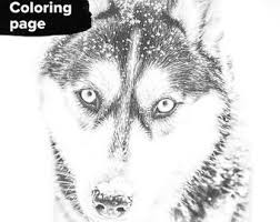 Puppy for christmas coloring page for preschoolers. Husky Coloring Page Etsy