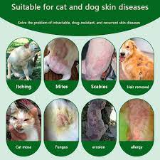 When these wounds heal too quickly, it can result in increased risk of recurrence. Dog Skin Ulcer Spray 120ml Pet Fungal Infection Dermatitis Mite Itching Dog Stain Odor Removers Aliexpress