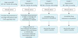 The aim of this study is to assess the practice of lifestyle modifications and associated factors among diagnosed hypertensive patients in. Figure 44 5 2 Initiation Of Blood Pressure Bp Lowering Treatment Oxford Medicine Online