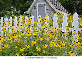 Beautiful flower garden arranged with red and white tulips and purple or blue flowers between in downtown chicago along michigan avenue. Flower Garden Fence And Shed Small Shed In A Garden With Picket Fence And Flowers Blooming Canstock